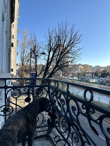 Centrul Civic, Splai, Calea Victoriei,